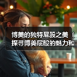 博美的独特屁股之美（探寻博美屁股的魅力和特点）(图2)