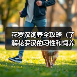 花罗汉饲养全攻略（了解花罗汉的习性和饲养技巧，成为合格的花罗汉养殖者）(图4)
