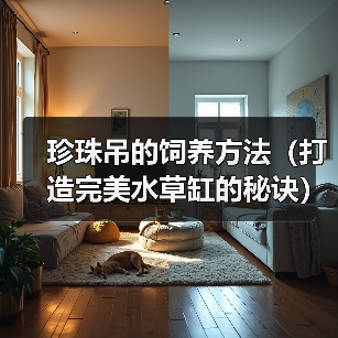 珍珠吊的饲养方法（打造完美水草缸的秘诀）(图4)