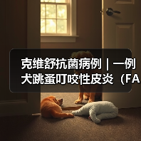 克维舒抗菌病例 | 一例犬跳蚤叮咬性皮炎（FAD）的病例分析(图3)
