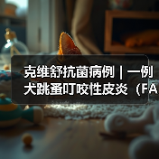 克维舒抗菌病例 | 一例犬跳蚤叮咬性皮炎（FAD）的病例分析(图4)
