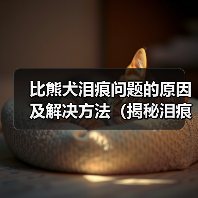 比熊犬泪痕问题的原因及解决方法(揭秘泪痕问题)(图3) 比熊犬泪痕问题的原因及解决方法(揭秘泪痕问题)(图3)