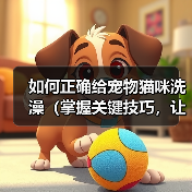 如何正确给宠物猫咪洗澡（掌握关键技巧，让猫咪洗澡不再难）(图3)