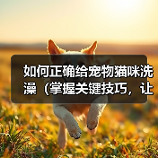 如何正确给宠物猫咪洗澡（掌握关键技巧，让猫咪洗澡不再难）(图4)