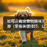 如何正确给宠物猫咪洗澡（掌握关键技巧，让