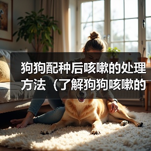 狗狗配种后咳嗽的处理方法（了解狗狗咳嗽的原因和合适的药物治疗 - 辰飞雨新生家伴