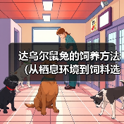 达乌尔鼠兔的饲养方法（从栖息环境到饲料选择，做好这些就可以养活可爱的达乌尔鼠兔！）(图3)