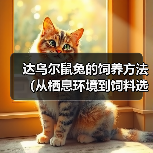 达乌尔鼠兔的饲养方法（从栖息环境到饲料选择，做好这些就可以养活可爱的达乌尔鼠兔！）(图4)