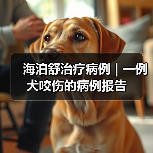 海泊舒治疗病例 | 一例犬咬伤的病例报告(图4)