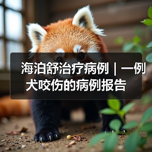 海泊舒治疗病例 | 一例犬咬伤的病例报告(图3)