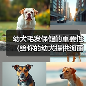 幼犬毛发保健的重要性(给你的幼犬提供绚丽光彩的外貌)(图4) 幼犬毛发保健的重要性(给你的幼犬提供绚丽光彩的外貌)(图4)