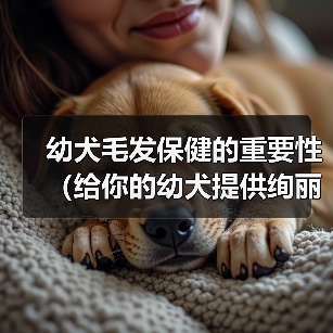 幼犬毛发保健的重要性(给你的幼犬提供绚丽光彩的外貌)(图2) 幼犬毛发保健的重要性(给你的幼犬提供绚丽光彩的外貌)(图2)
