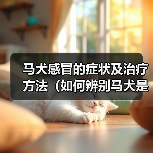 马犬感冒的症状及治疗方法（如何辨别马犬是否感冒？有效的治疗方法分享）(图4)