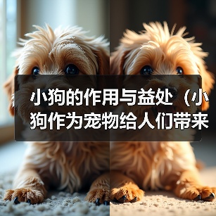 小狗的作用与益处（小狗作为宠物给人们带来的快乐和帮助） - 辰飞雨新生家伴