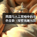 画眉鸟人工繁殖中的毛色变异(探索画眉鸟羽毛色彩的遗传规律与多样性)(图3) 画眉鸟人工繁殖中的毛色变异(探索画眉鸟羽毛色彩的遗传规律与多样性)(图3)