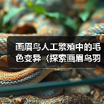 画眉鸟人工繁殖中的毛色变异(探索画眉鸟羽毛色彩的遗传规律与多样性)(图1) 画眉鸟人工繁殖中的毛色变异(探索画眉鸟羽毛色彩的遗传规律与多样性)(图1)