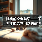 狼狗的饮食禁忌——千万不能给它们吃的食物(了解狼狗的饮食禁忌,保证它们健康成长)(图3) 狼狗的饮食禁忌——千万不能给它们吃的食物(了解狼狗的饮食禁忌,保证它们健康成长)(图3)