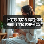 杜可波氏凤头鹦鹉饲养指南（了解这些关键点，让你成为杜凤饲养达人！）(图2)