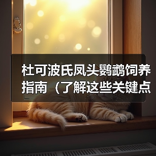 杜可波氏凤头鹦鹉饲养指南（了解这些关键点，让你成为杜凤饲养达 - 辰飞雨新生家伴