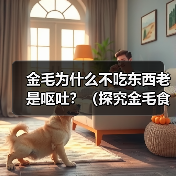金毛为什么不吃东西老是呕吐?(探究金毛食欲减退和呕吐的原因以及治疗方法)(图3) 金毛为什么不吃东西老是呕吐?(探究金毛食欲减退和呕吐的原因以及治疗方法)(图3)