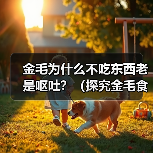 金毛为什么不吃东西老是呕吐？（探究金毛食欲减退和呕吐的原因以 - 辰飞雨新生家伴
