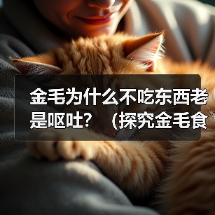 金毛为什么不吃东西老是呕吐?(探究金毛食欲减退和呕吐的原因以及治疗方法)(图4) 金毛为什么不吃东西老是呕吐?(探究金毛食欲减退和呕吐的原因以及治疗方法)(图4)