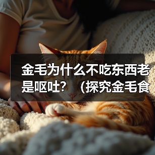 金毛为什么不吃东西老是呕吐?(探究金毛食欲减退和呕吐的原因以及治疗方法)(图2) 金毛为什么不吃东西老是呕吐?(探究金毛食欲减退和呕吐的原因以及治疗方法)(图2)