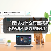 “探讨为什么有些狗狗不好动不吃肉的原因”(狗狗行为特点、健康问题与饮食习惯的关联)(图4) “探讨为什么有些狗狗不好动不吃肉的原因”(狗狗行为特点、健康问题与饮食习惯的关联)(图4)