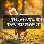 “探讨为什么有些狗狗不好动不吃肉的原因”(狗狗行为特点、健康问题与饮食习惯的关联)(图2) “探讨为什么有些狗狗不好动不吃肉的原因”(狗狗行为特点、健康问题与饮食习惯的关联)(图2)