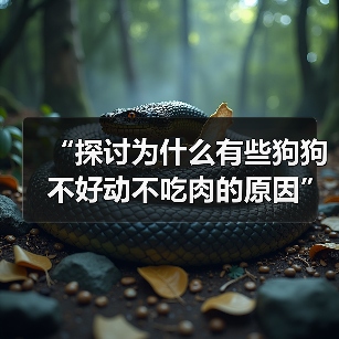 “探讨为什么有些狗狗不好动不吃肉的原因”（狗狗行为特点、健康 - 辰飞雨新生家伴