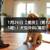 1月26日【重庆】(第125期)丨犬猫外科(高阶)班！含SU - 辰飞雨新生家伴