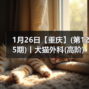 1月26日【重庆】(第125期)丨犬猫外科(高阶)班!含SUB(人人可实操)、乳糜胸等技术!(图3) 1月26日【重庆】(第125期)丨犬猫外科(高阶)班!含SUB(人人可实操)、乳糜胸等技术!(图3)