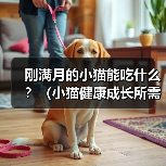 刚满月的小猫能吃什么?(小猫健康成长所需食物与饮食习惯)(图4) 刚满月的小猫能吃什么?(小猫健康成长所需食物与饮食习惯)(图4)