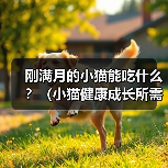 刚满月的小猫能吃什么?(小猫健康成长所需食物与饮食习惯)(图2) 刚满月的小猫能吃什么?(小猫健康成长所需食物与饮食习惯)(图2)