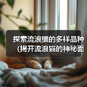 探索流浪猫的多样品种(揭开流浪猫的神秘面纱,了解它们的不同品种和特征)(图4) 探索流浪猫的多样品种(揭开流浪猫的神秘面纱,了解它们的不同品种和特征)(图4)