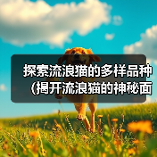 探索流浪猫的多样品种(揭开流浪猫的神秘面纱,了解它们的不同品种和特征)(图3) 探索流浪猫的多样品种(揭开流浪猫的神秘面纱,了解它们的不同品种和特征)(图3)