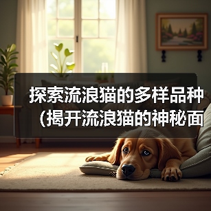 探索流浪猫的多样品种(揭开流浪猫的神秘面纱,了解它们的不同品种和特征)(图2) 探索流浪猫的多样品种(揭开流浪猫的神秘面纱,了解它们的不同品种和特征)(图2)