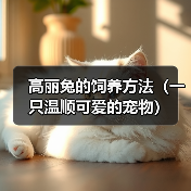 高丽兔的饲养方法（一只温顺可爱的宠物） - 辰飞雨新生家伴
