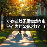 小泰迪肚子里竟然有虫子？为什么会这样？（揭秘小泰迪肚子里虫子 - 辰飞雨新生家伴