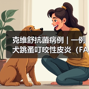 克维舒抗菌病例 | 一例犬跳蚤叮咬性皮炎（FAD）的病例分析 - 辰飞雨新生家伴