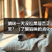 猫咪一天没拉屎是否正常？（了解猫咪的消化系统和行为习惯，判断它是否需要就医）(图2)