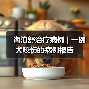 海泊舒治疗病例 | 一例犬咬伤的病例报告(图2)