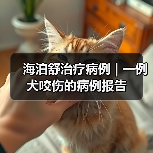 海泊舒治疗病例 | 一例犬咬伤的病例报告(图3)