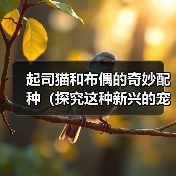 起司猫和布偶的奇妙配种（探究这种新兴的宠