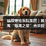 瑞辰宠物医院集团 | 第3周“每周之星”光荣榜(图3)