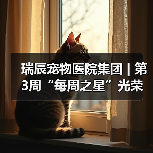 瑞辰宠物医院集团 | 第3周“每周之星”