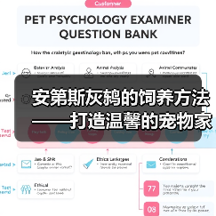 安第斯灰鸫的饲养方法——打造温馨的宠物家园（从生活习性到饲养 - 辰飞雨新生家伴