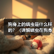 狗身上的螨虫是什么样的？（详解螨虫在狗身上的外貌特征及相关信息）(图2)