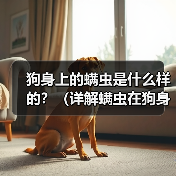 狗身上的螨虫是什么样的？（详解螨虫在狗身上的外貌特征及相关信 - 辰飞雨新生家伴