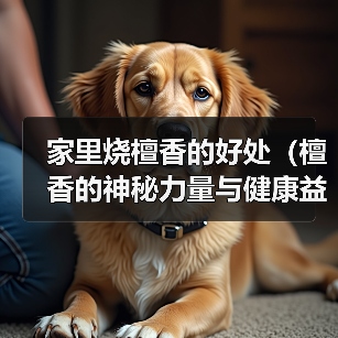 家里烧檀香的好处（檀香的神秘力量与健康益处） - 辰飞雨新生家伴